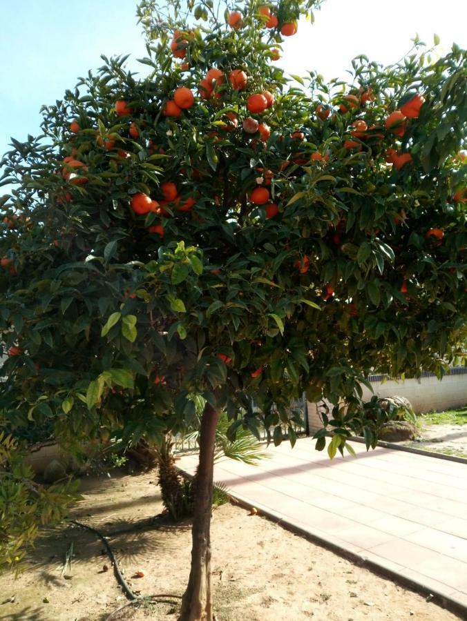 Apartament Cl Gravina 20 Grao de Castellon Zewnętrze zdjęcie